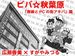 ビバ☆秋葉原――「無線とＰＣの街アキバ」篇